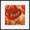 paper_frame