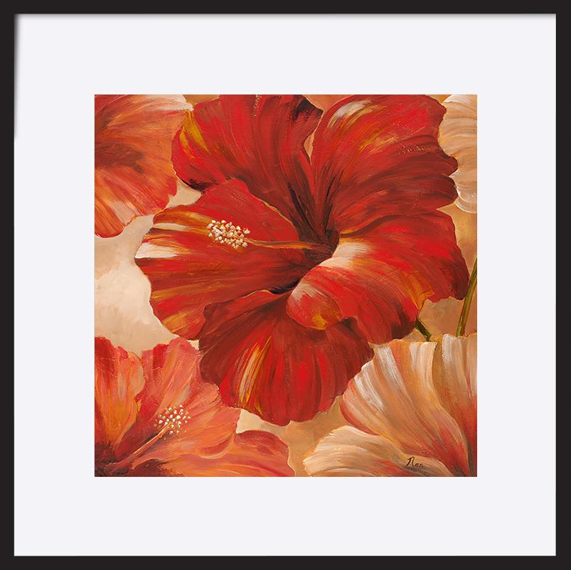 paper_frame