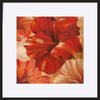 paper_frame