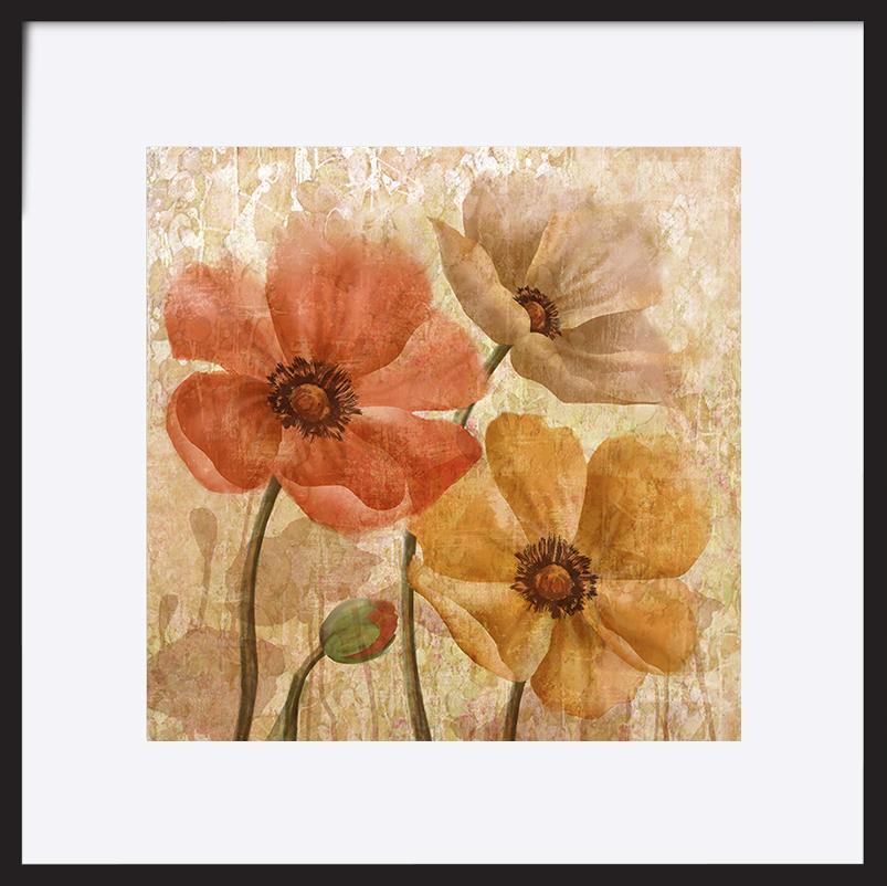 paper_frame