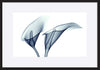 paper_frame
