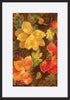 paper_frame