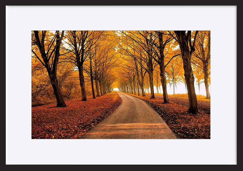 paper_frame