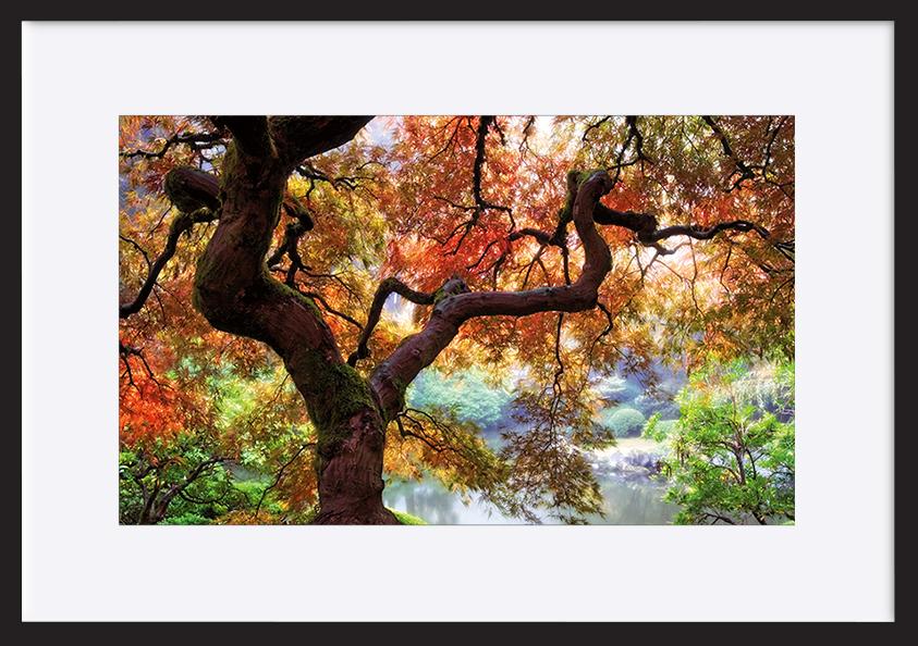 paper_frame
