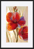 paper_frame
