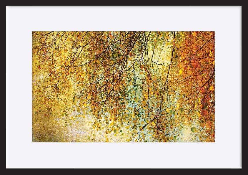paper_frame