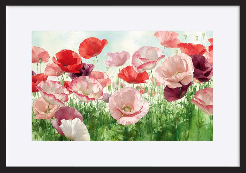 paper_frame