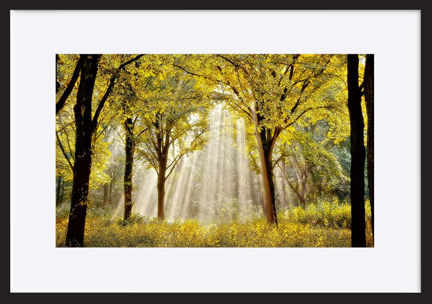 paper_frame