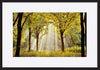 paper_frame