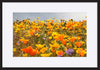 paper_frame