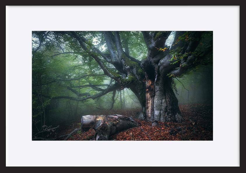 paper_frame