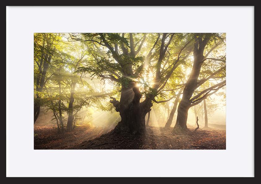 paper_frame