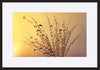 paper_frame