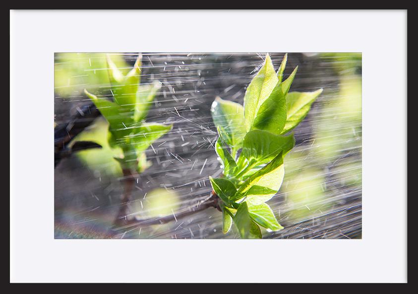 paper_frame
