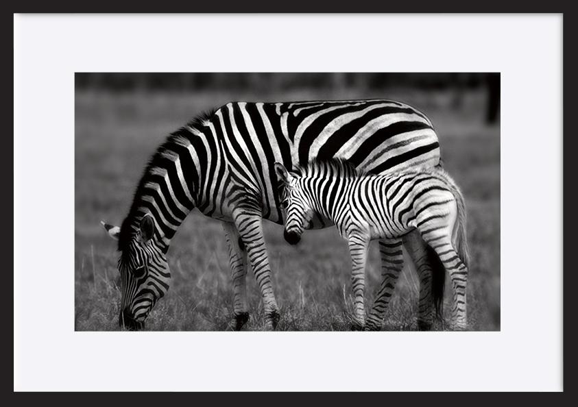 paper_frame