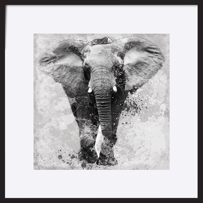 paper_frame