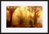 paper_frame