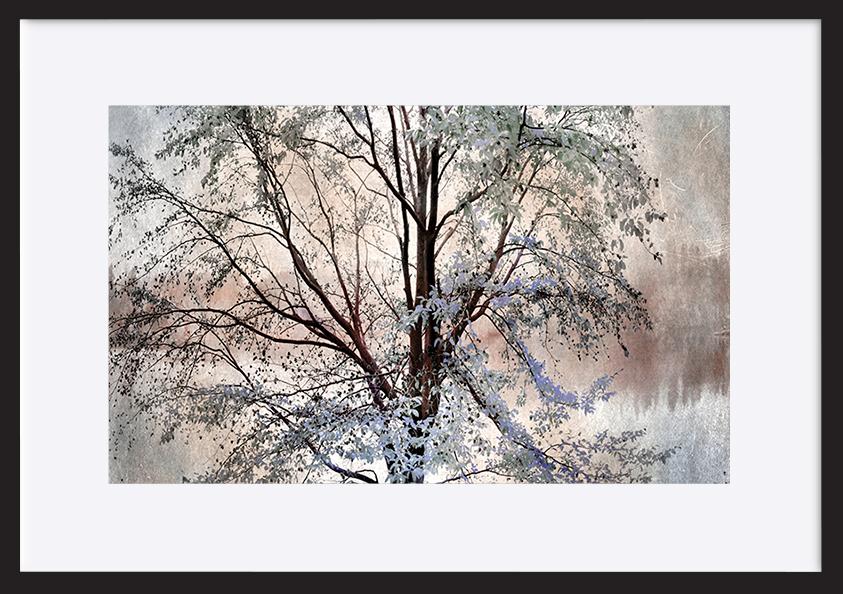 paper_frame