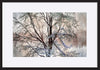 paper_frame