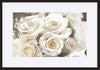 paper_frame
