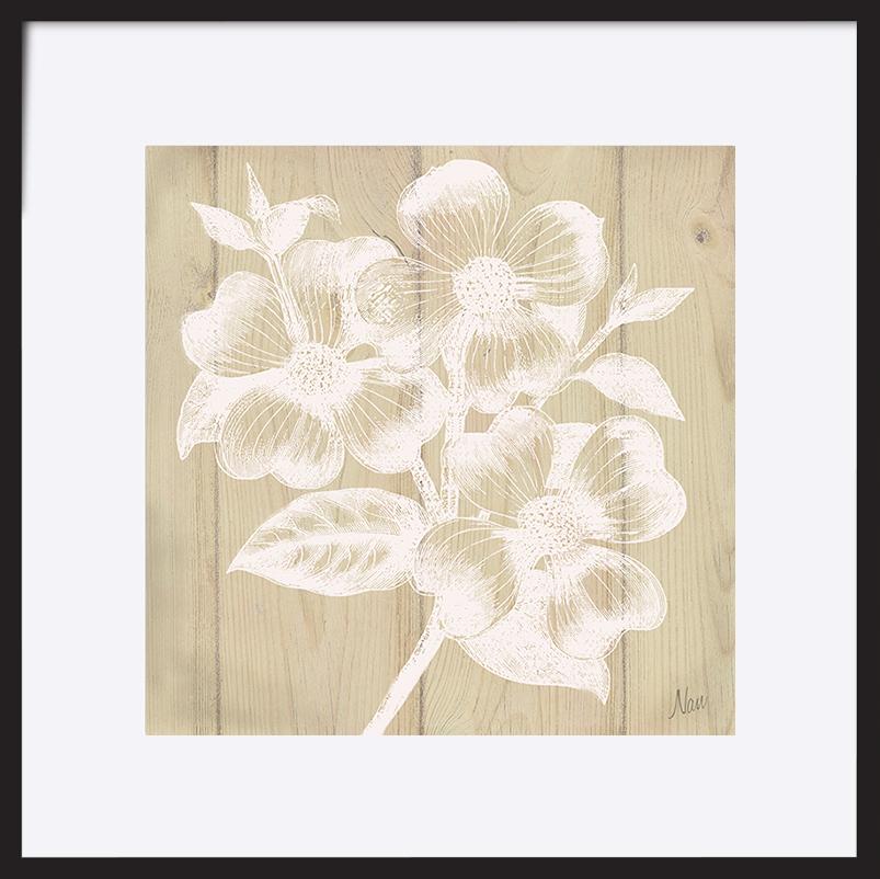 paper_frame