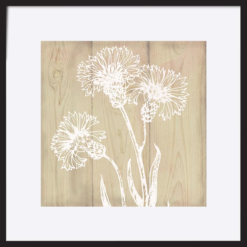 paper_frame