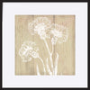 paper_frame
