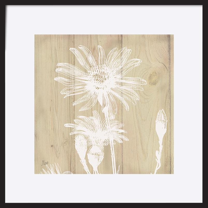 paper_frame