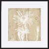 paper_frame