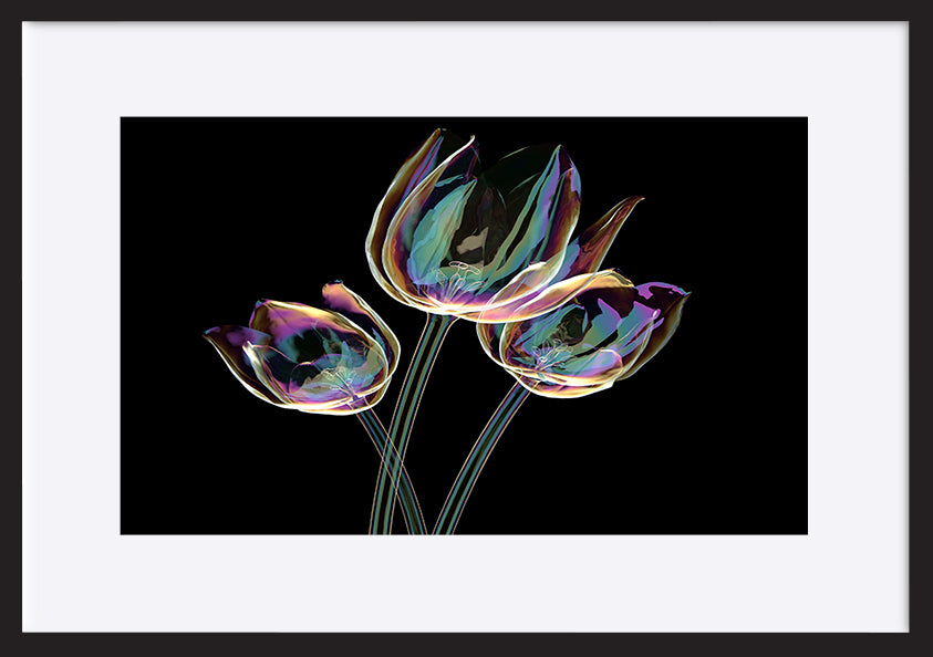 paper_frame