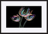 paper_frame