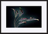 paper_frame