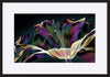 paper_frame