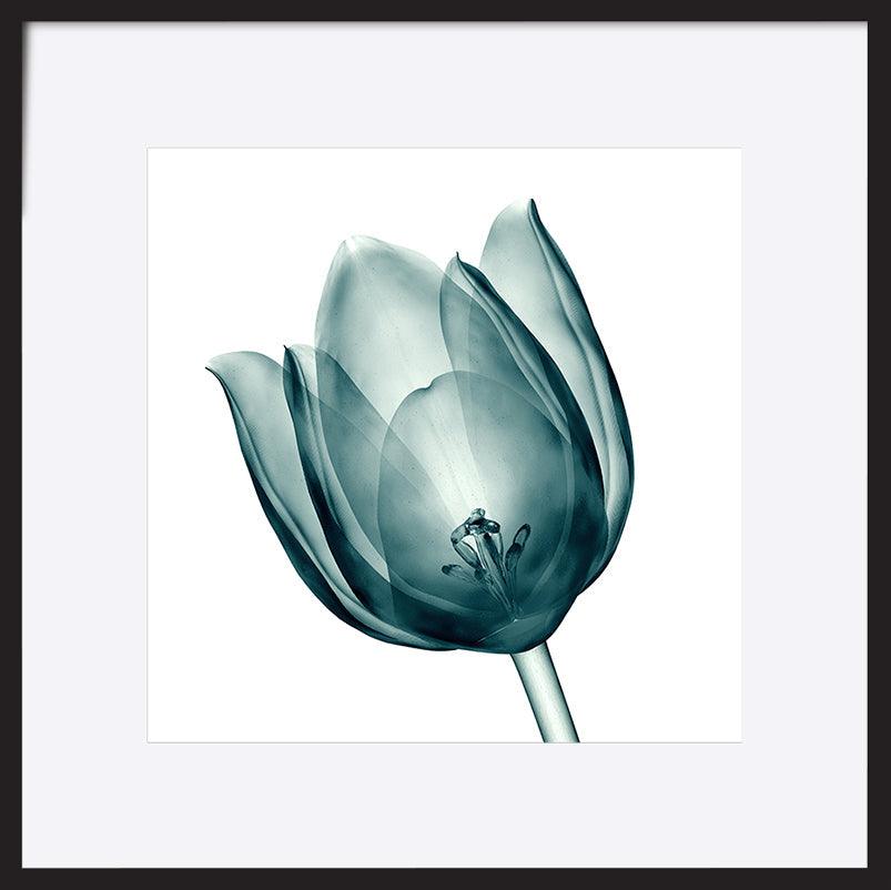 paper_frame