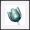 paper_frame