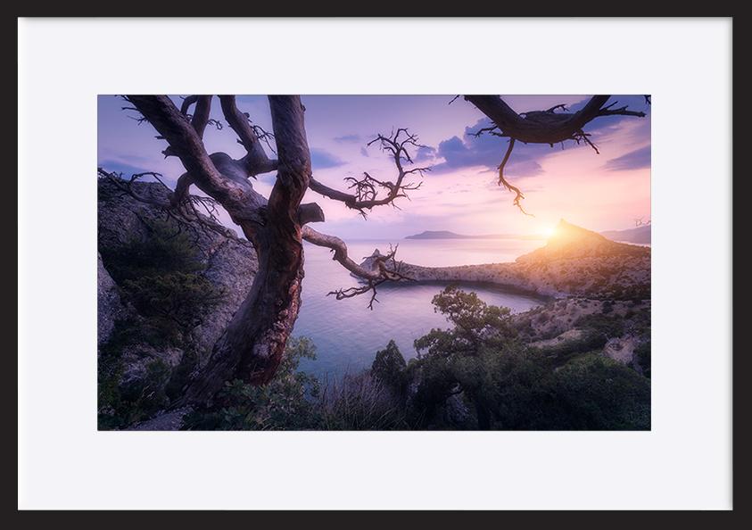 paper_frame