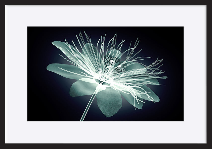 paper_frame