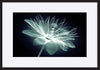 paper_frame
