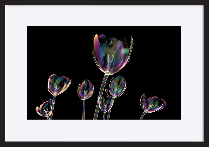paper_frame