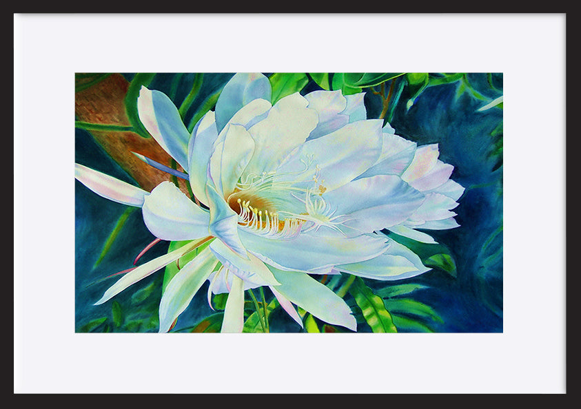 paper_frame
