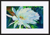 paper_frame