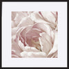 paper_frame