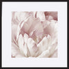 paper_frame