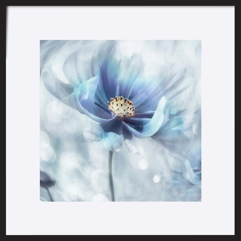 paper_frame