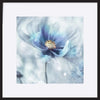 paper_frame