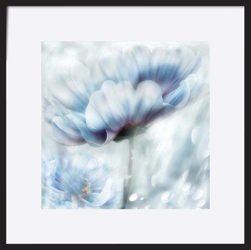 paper_frame