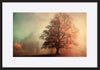 paper_frame