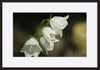 paper_frame
