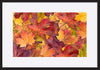 paper_frame