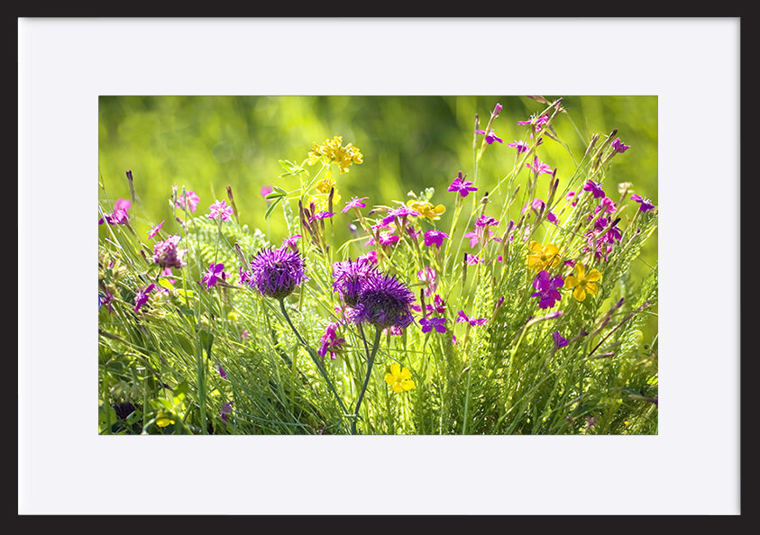 paper_frame
